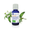 HUILE ESS. BIO EUCALYPTUS CITRONNE 10ML