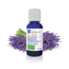 BIO ESS. OLIE SPIJKLAVENDEL 10ML