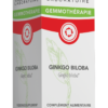 GINKGO BILOBA*